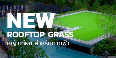 ใหม่! หญ้าเทียมดาดฟ้า Rooftop Grass